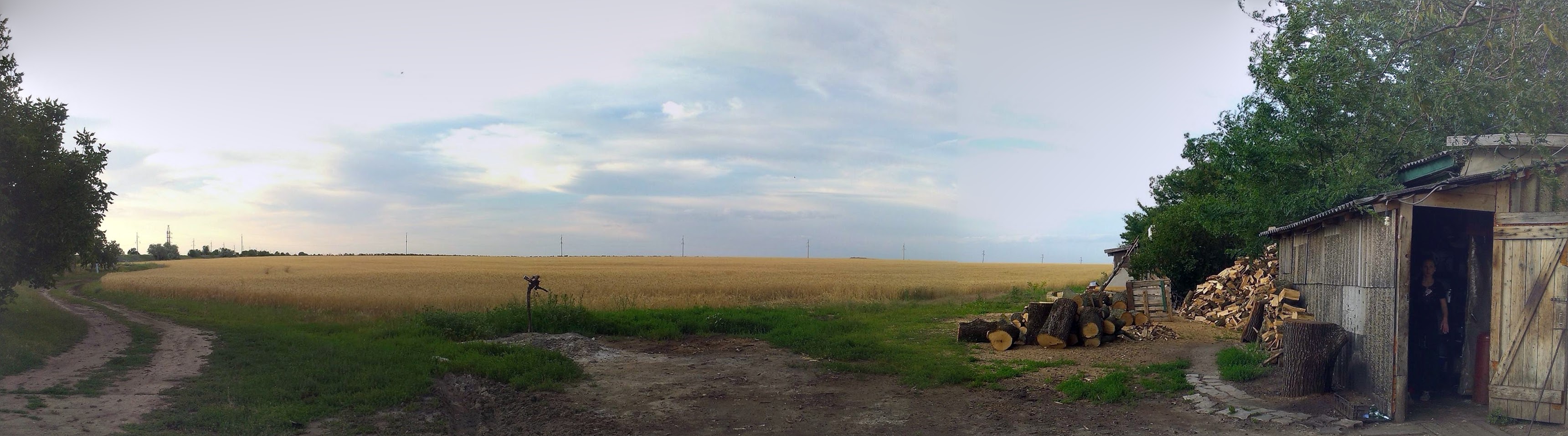 5 WAYS TO AVOID THE MORATORIUM ON SALE OF FARMLAND