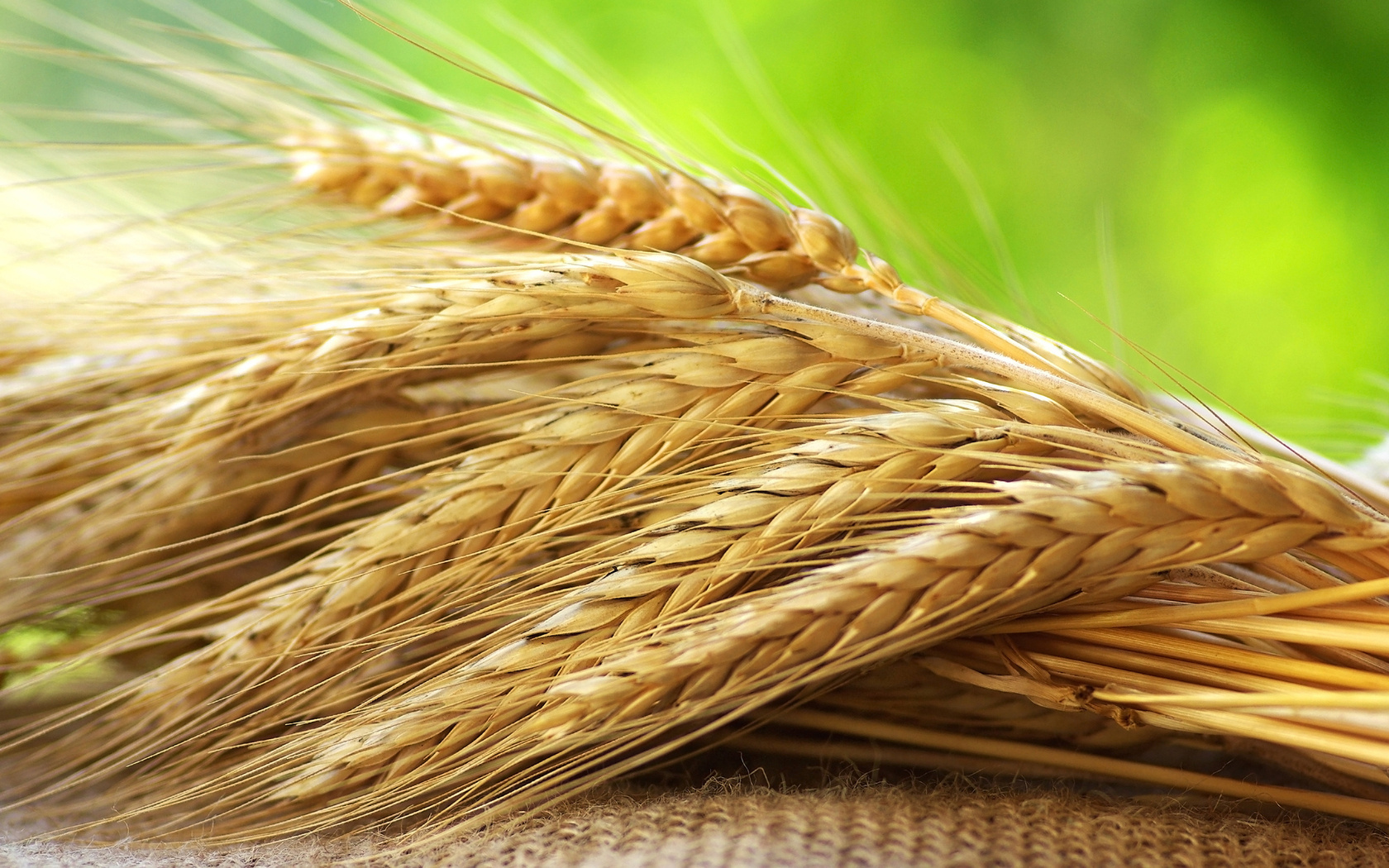 Ministry of agrarian policy expects for the adoptation of three revolutionary bills 