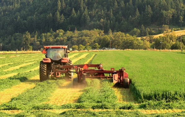Продовжено мораторій на продаж сільгосп земель