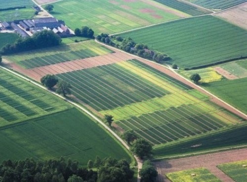 ДЛЯ КУПІВЛІ-ПРОДАЖУ ЗЕМЕЛЬНОЇ ДІЛЯНКИ необхідний наступний перелік документів